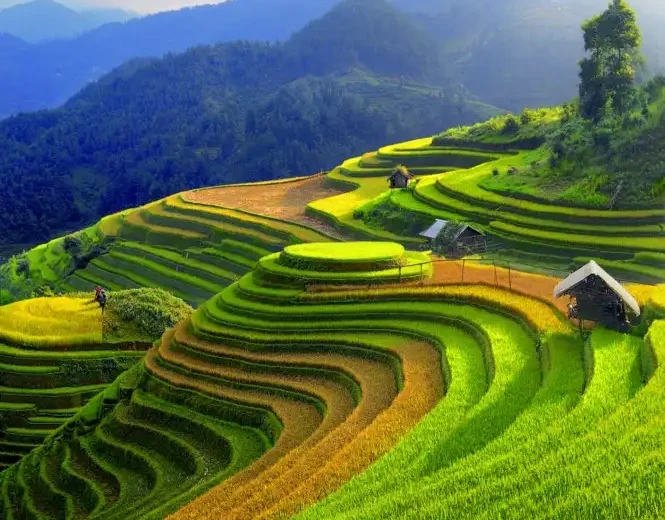 48 giờ nghỉ dưỡng giữa mùa vàng Mù Cang Chải