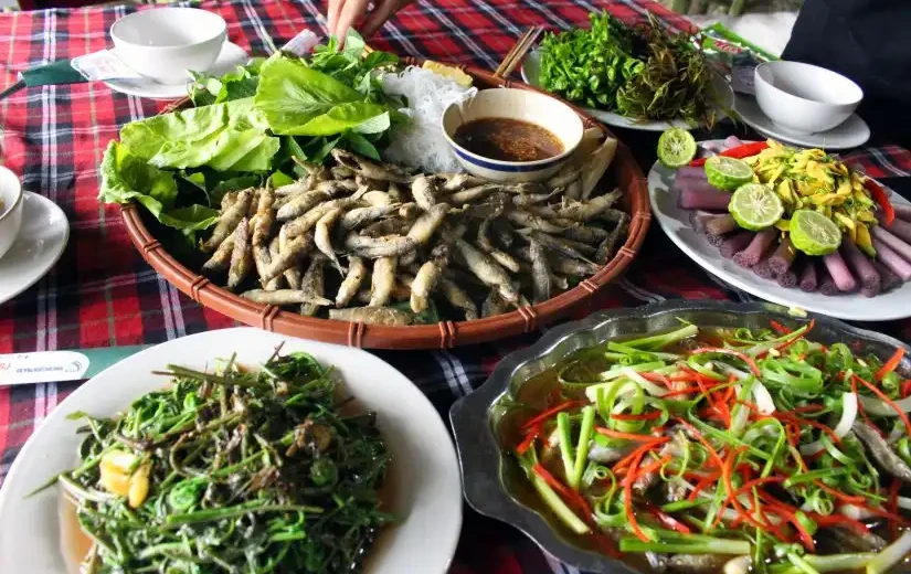 Cá linh – loài thủy sản độc đáo châu thổ Mekong