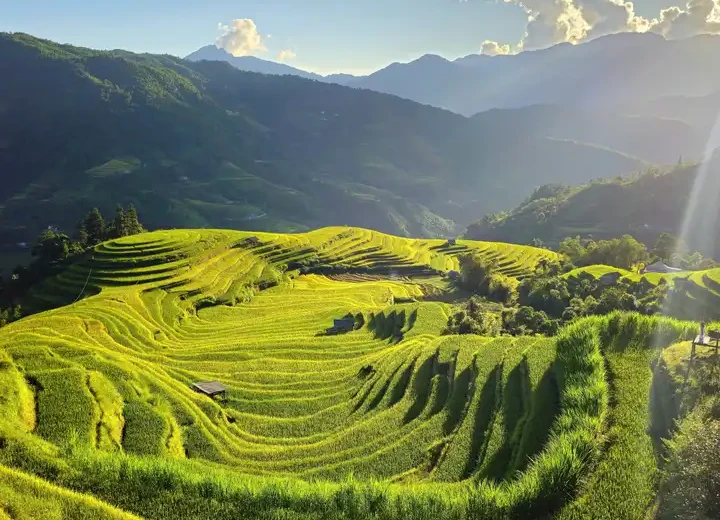 Ngắm những thửa ruộng bậc thang tuyệt đẹp ở Hoàng Su Phì