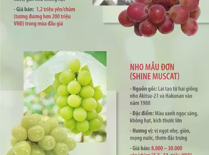 3 giống nho đắt đỏ tại Nhật Bản